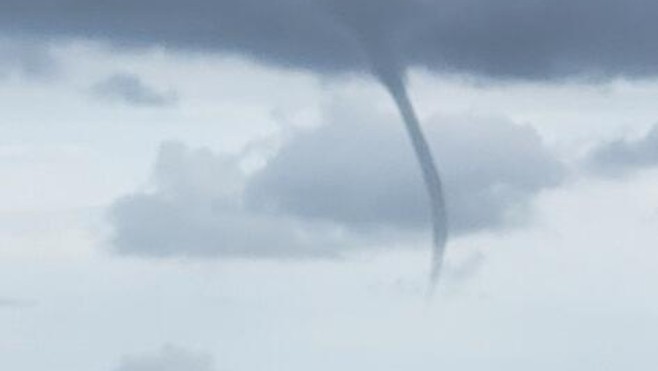Un tuba observé au large de Berck ce matin