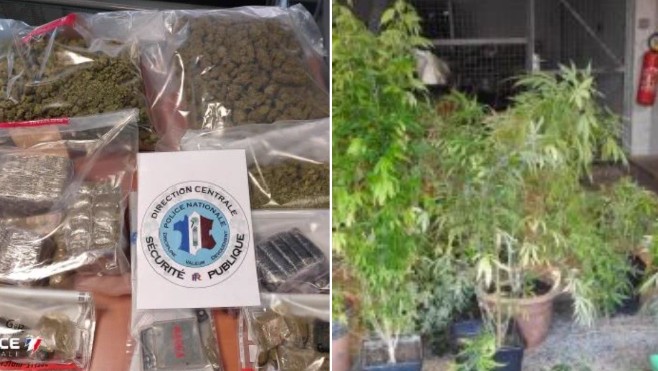 Grande-Synthe : La police met la main sur 6kg de cannabis.