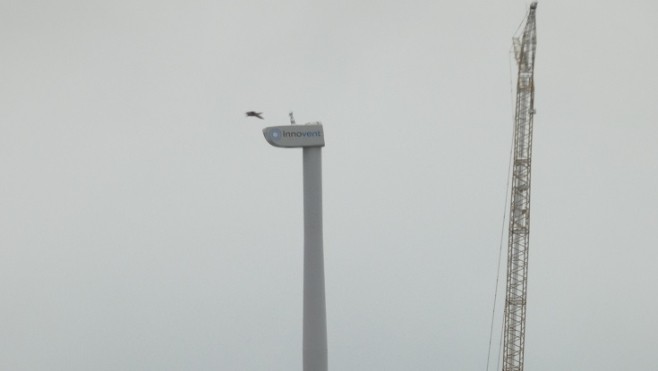 Une éolienne en construction au port de Boulogne sur mer.