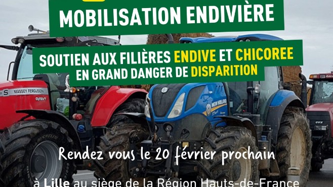L'Europe veut interdire des herbicides, les endiviers craignent de disparaître !