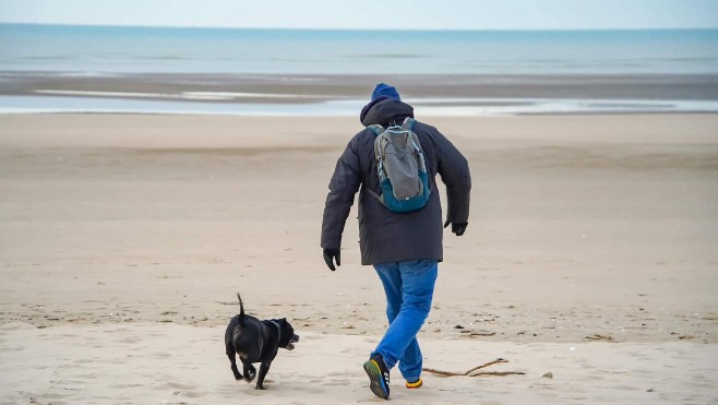 Face aux incivilités, le Touquet interdit les chiens sur la plage centrale pendant la saison 