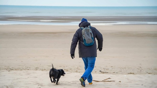 Face aux incivilités, le Touquet interdit les chiens sur la plage centrale pendant la saison
