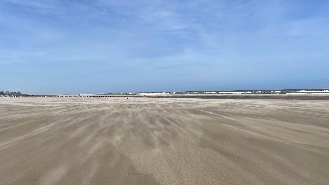 Pollution des plages aux billes de plastiques: l'ANEL porte plainte contre X