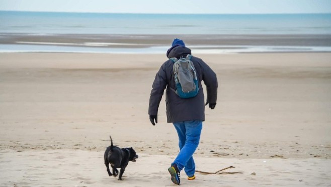 Léger rétropédalage au Touquet concernant l’interdiction des chiens sur la plage