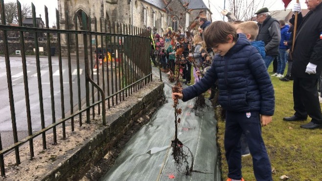 Hauts-de-France : depuis 2020, 1 million d'arbres ont été plantés grâce à la Région