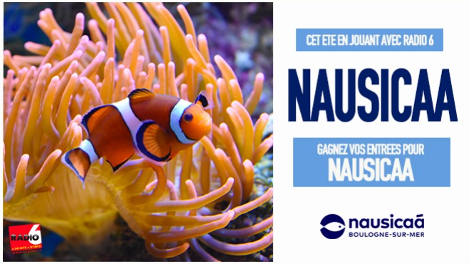 Visitez Nausicaa cet été en écoutant Radio 6