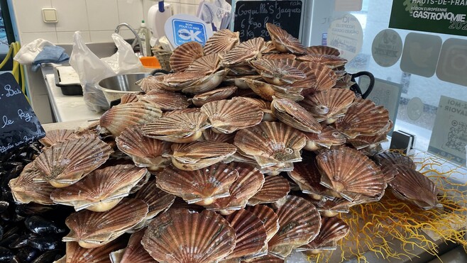La saison de la coquille Saint-Jacques est là… et les clients aussi !