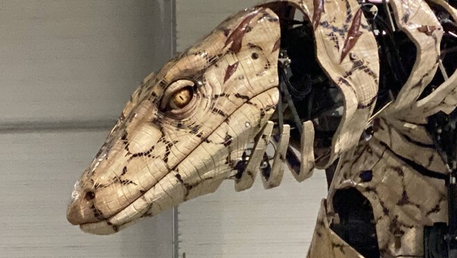 JOUR J : Le Varan de Voyage a tout pour sembler réel, comme ses cousins de chair et d’écailles, les varans Perenti !