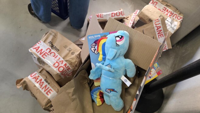 Côte d'Opale: comment les douaniers traquent les contrefaçons de jouets à l'approche des fêtes