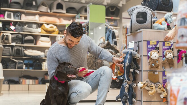 3 VENDEURS ANIMALIERS - COTE D'OPALE