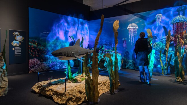 À l’abbaye de Saint-Riquier, l’univers de Jules Verne prend vie en briques LEGO®