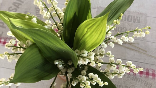 1er-Mai : le maire du Touquet, Daniel Fasquelle interpelle Matignon, mais le gouvernement reporte toute réforme