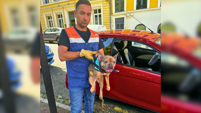 Encore deux chiens enfermés dans une voiture en plein soleil à Boulogne-sur-Mer