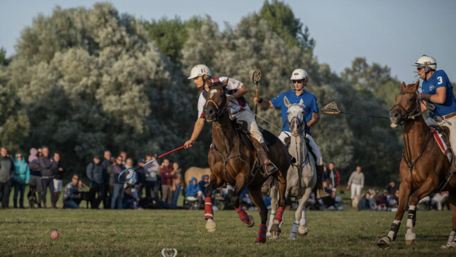 Le Crotoy : un sport spectaculaire et méconnu débarque ce week end en Baie de Somme