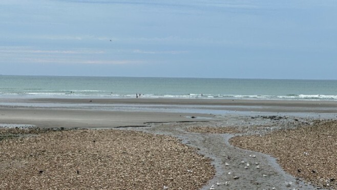 Wimereux : deux personnes prises par la marée s'en sortent in extremis !