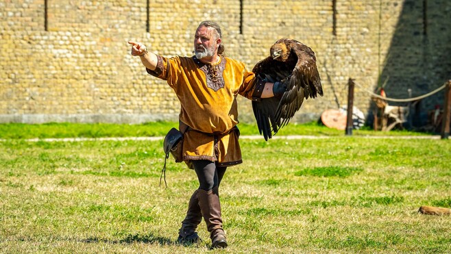 Calais: le spectacle de fauconnerie de retour au Fort Risban, ce week-end
