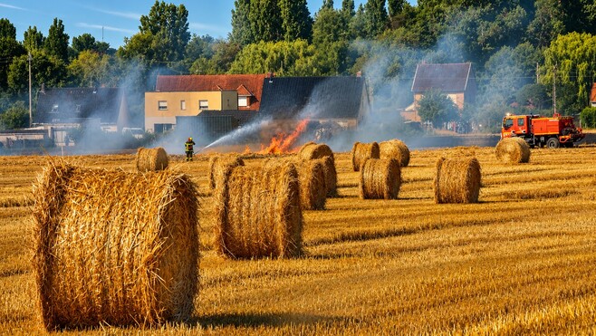 Lisbourg : un spectaculaire incendie ravage 5 hectares, un champ de lin sauvé de justesse