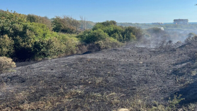 Neufchâtel-Hardelot : le feu de forêt repart dans la nuit, l'intervention toujours en cours