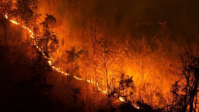 Feux de forêt : 158 pompiers des Hauts-de-France partent en renfort en Gironde