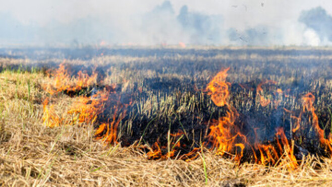 Cavron-Saint-Martin : un feu de chaumes ravage un champ ce mardi après-midi