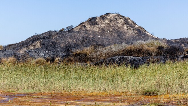 Mont-Saint-Frieux : accès interdits aux massifs, 3 pompiers blessés et toujours des questions sur l’origine du feu
