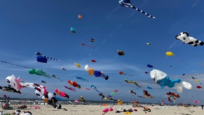 Berck-sur-Mer : les cerfs-volants vont colorer la plage toute la journée ce dimanche