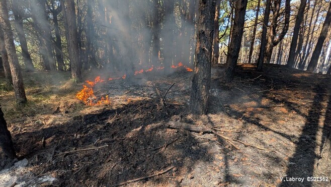 Mont-Saint-Frieux : la pluie stabilise l’incendie, 90 pompiers toujours mobilisés