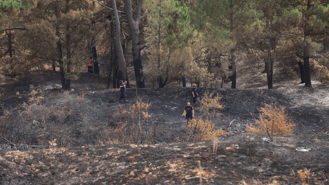 Incendie du Mont Saint-Frieux : Eden 62 débute le bilan des dégâts dans les espaces naturels.