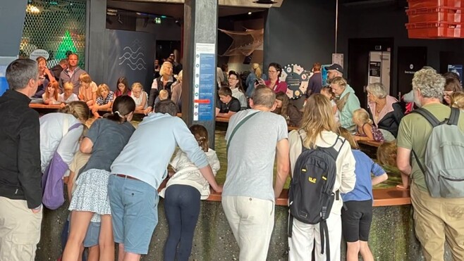 Maréis explose son record de fréquentation avec 1 466 visiteurs en une journée en août.
