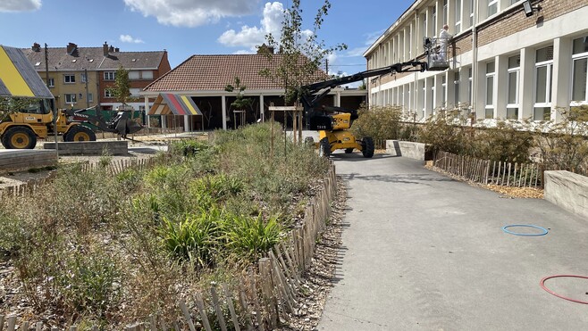 A Dunkerque, plus d'une dizaine de cours d'école déjà végétalisées !