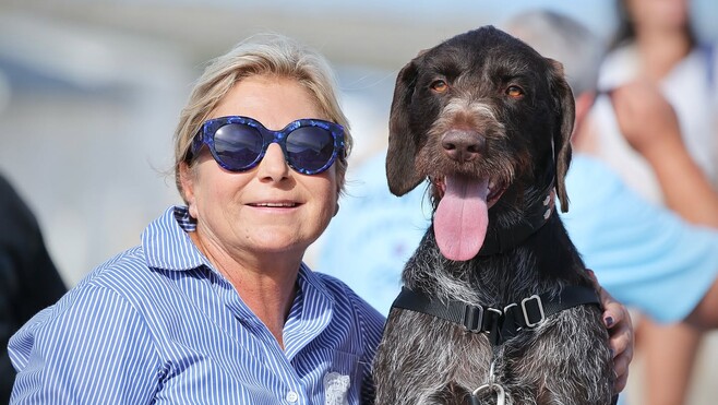 Avec la semaine de Wouf, la ville de Calais veut décrocher le label « Ville Amie des animaux » !