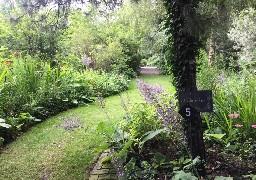 Balade enchanteresse dans le Jardin botanique du Beau Pays à Marck-en-Calaisis