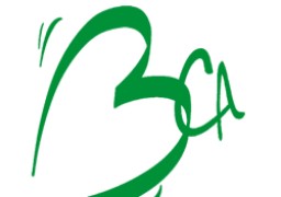 Nationale 2 de basket : promu, le BC Ardres joue le maintien cette saison