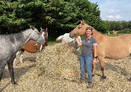 Campigneules les Grandes: l'écurie D'Amequine ouvre ses portes ce dimanche