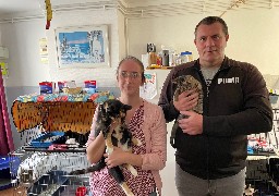 Etaples: une campagne de stérilisation de chats errants va avoir lieu dans les prochains jours