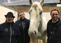 Au salon de l'agriculture : un premier prix au trophée inter-races pour deux juments d'Auxi-le-Château