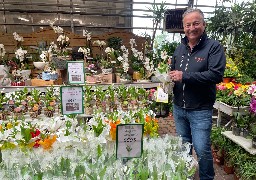 Des milliers de brins de muguet devraient être vendus ce week-end