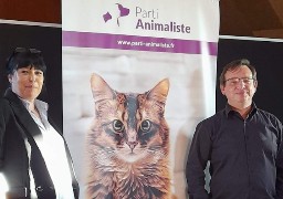 Législatives dans le boulonnais : le vétérinaire Christophe Blanckaert se présente pour le Parti Animaliste.