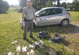 Une trentaine d'oiseaux retrouvés morts sur les plages du boulonnais. 