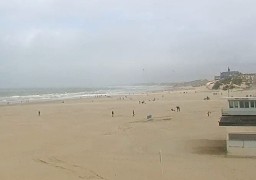 21 kg de cocaïne retrouvés par un promeneur sur la plage de Berck !