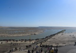 A Berck sur mer, 19 kilos de pains de cocaïne ont encore été découverts.