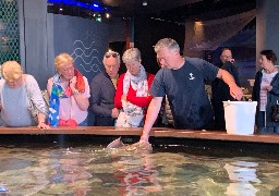 Les Escapades: découvrez le centre Maréis à Etaples