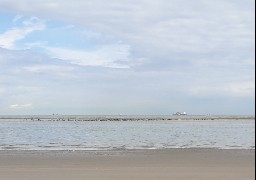 Les Escapades : balade au Fort Vert entre Calais et Marck