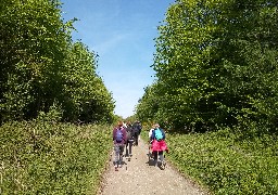 Les Escapades : initiez-vous à la marche nordique en Pays d'Opale