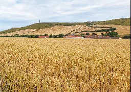 Les Escapades : randonnée pédestre autour du Blanc-Nez