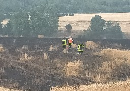 Pas-de-Calais : 92 hectares de champs et de végétation ont brûlé mardi