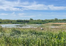 Les Escapades: évadez-vous au Parc du Marquenterre dans la Somme