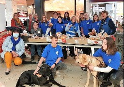 Succès de l’opération Brioches à Calais