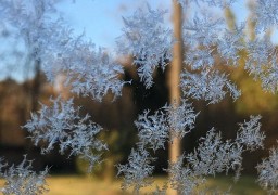 Vague de froid: mise en oeuvre de mesures spécifiques dans le Pas-de-Calais 