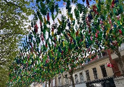 L’artiste portugaise Patricia Cunha expose de nouveau à Calais